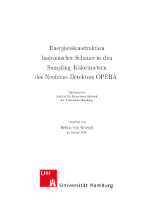 Titel der Diplomarbeit