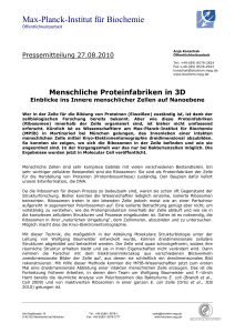 "Menschliche Proteinfabriken in 3D"  - Max-Planck