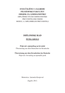 diplomski rad