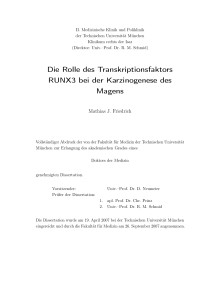 Die Rolle des Transkriptionsfaktors RUNX3 bei der Karzinogenese