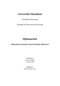 Universität Mannheim Diplomarbeit