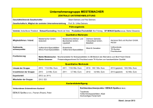 Unternehmensgruppe MESTEMACHER