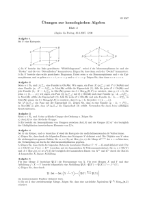 ¨Ubungen zur homologischen Algebra