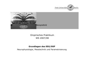 Empirisches Praktikum WS 2007/08