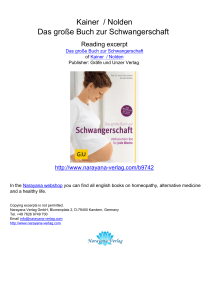 Kainer / Nolden Das große Buch zur Schwangerschaft