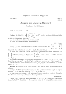 Bergische Universität Wuppertal ¨Ubungen zur Linearen Algebra 2