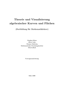 Theorie und Visualisierung algebraischer Kurven und Flächen