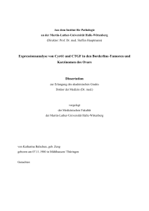 Expressionsanalyse von Cyr61 und CTGF in den Borderline