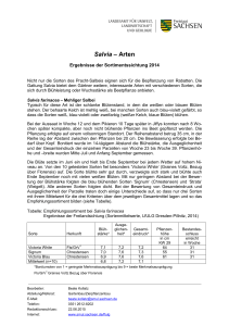 Salvia – Arten - Landwirtschaft in Sachsen