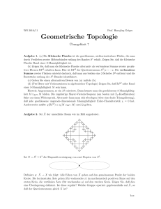 Geometrische Topologie