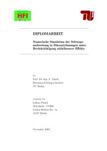 Numerische Simulation der Störungsausbreitung in