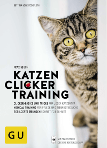 praxisbuch ka tzen-click er training