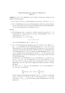 Musterlösungen zur Linearen Algebra II Blatt 9