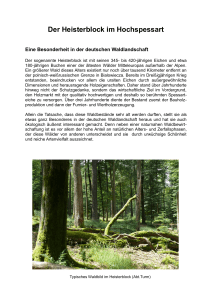 Der Heisterblock im Hochspessart - Spessart