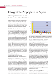 Reich_Prophylaxe_lay_BZB Muster Politik