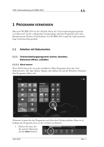 Word2010 mit Win8