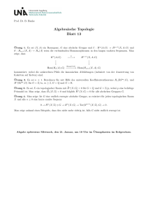 Algebraische Topologie Blatt 13