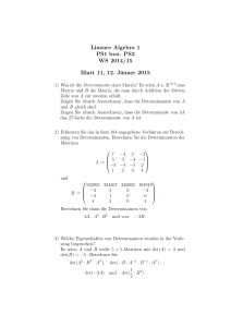Lineare Algebra 1 PS1 bzw. PS2 WS 2014/15 Blatt 11, 12. Jänner