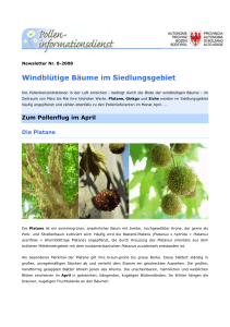 Newsletter Nr8_2008deu - Autonome Provinz Bozen