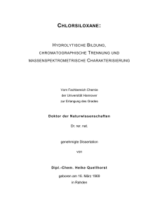 Dissertation Heike Quellhorst