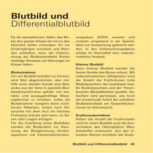 Blutbild und Differentialblutbild