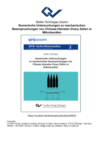 Numerische Untersuchungen zu mechanischen