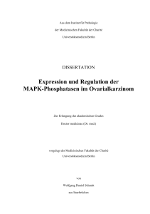 Expression und Regulation der MAPK