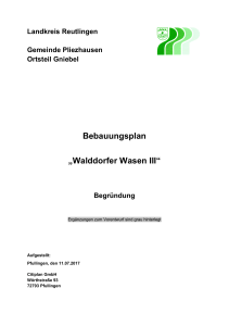 Bebauungsplan „Walddorfer Wasen III“