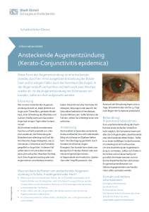 Ansteckende Augenentzündung (Kerato