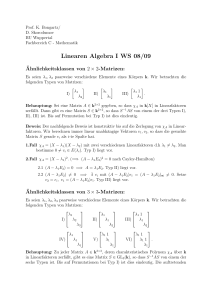 Linearen Algebra I WS 08/09