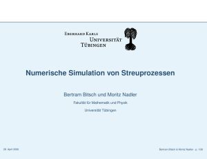 Numerische Simulation von Streuprozessen