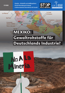 MEXIKO: Gewaltrohstoffe für Deutschlands Industrie?