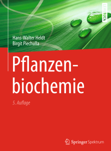 Hans-Walter Heldt Birgit Piechulla 5. Auflage