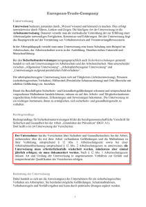 Text Unterweisung Allgemein - bei European-Trade