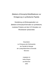 (Bakterio-)Chlorophyll-Modifikationen zur Einlagerung in