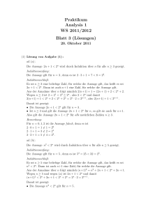 Praktikum Analysis 1 WS 2011/2012 Blatt 3 (Lösungen)