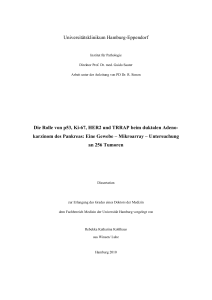 Universitätsklinikum Hamburg-Eppendorf Die Rolle von p53, Ki