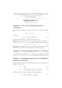 Quantenmechanik für Bachelor plus Aufgabenblatt 11