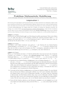 Praktikum Mathematische Modellierung