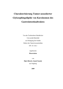 Charakterisierung Tumor-assoziierter Glykosphingolipide von