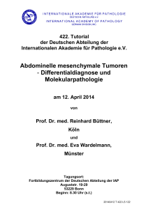 Abdominelle mesenchymale Tumoren - IAP