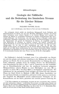 Geologie der Fallätsche und die Bedeutung des limnischen Niveaus