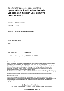 Neorbitolinopsis n. gen. und ihre systematische Position innerhalb