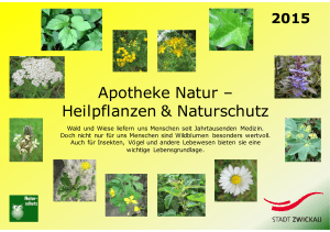 Kalender 2015: Apotheke Natur - Heilpflanzen
