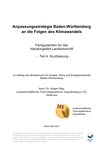 Anpassungsstrategie Baden-Württemberg an die Folgen des