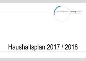 Haushaltsplan 2017/2018