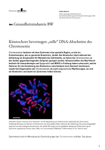 Kinetochore bevorzugen „stille“ DNA