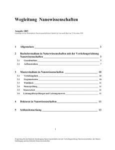 Wegleitung Nanowissenschaften