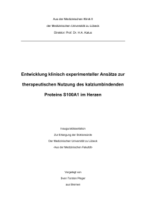 Entwicklung klinisch experimenteller Ansätze zur therapeutischen