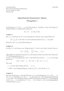 Algorithmische Kommutative Algebra ¨Ubungsblatt 1